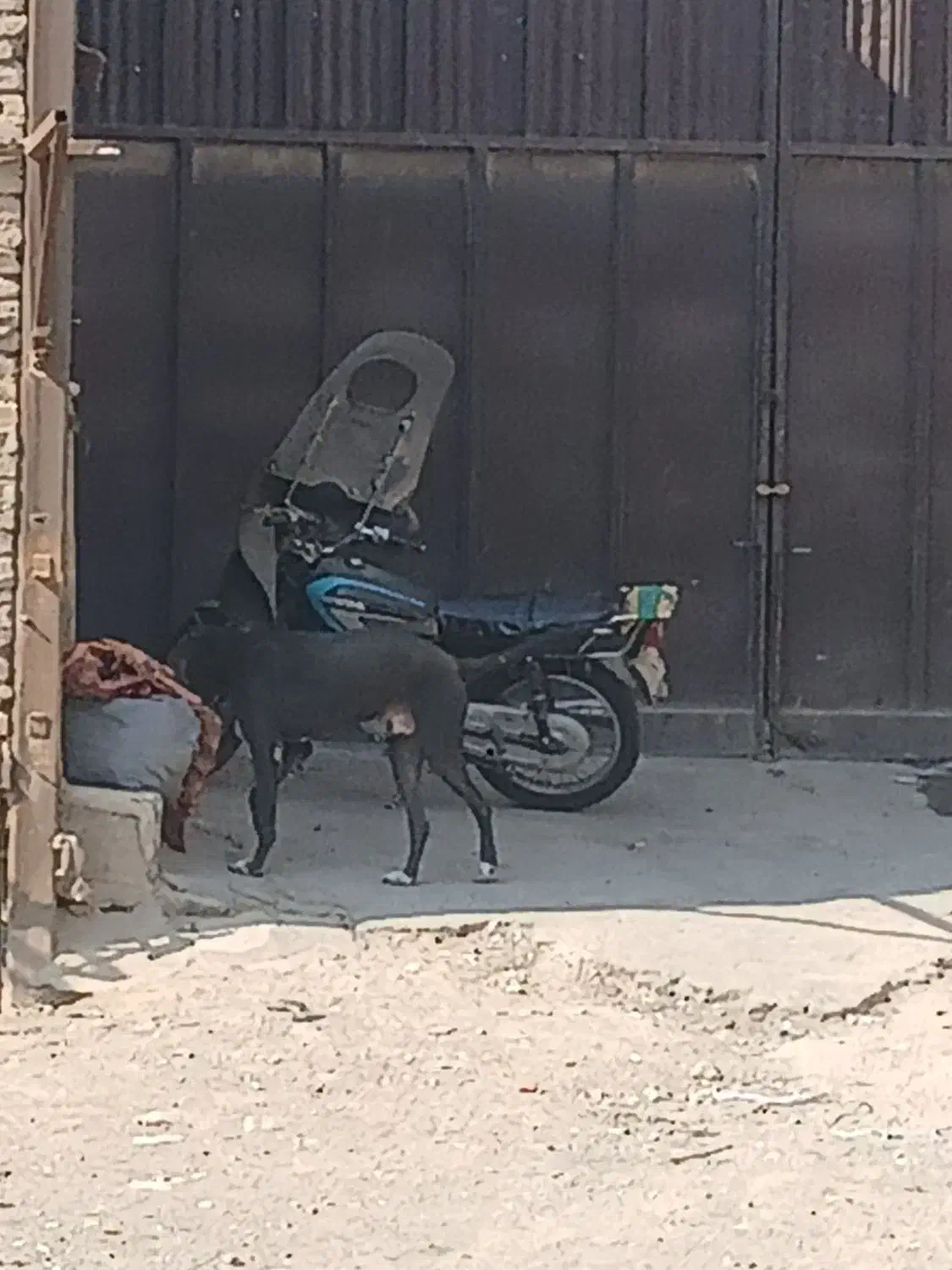 موتورهندامدل۹۰|موتورسیکلت|صباشهر, |دیوار