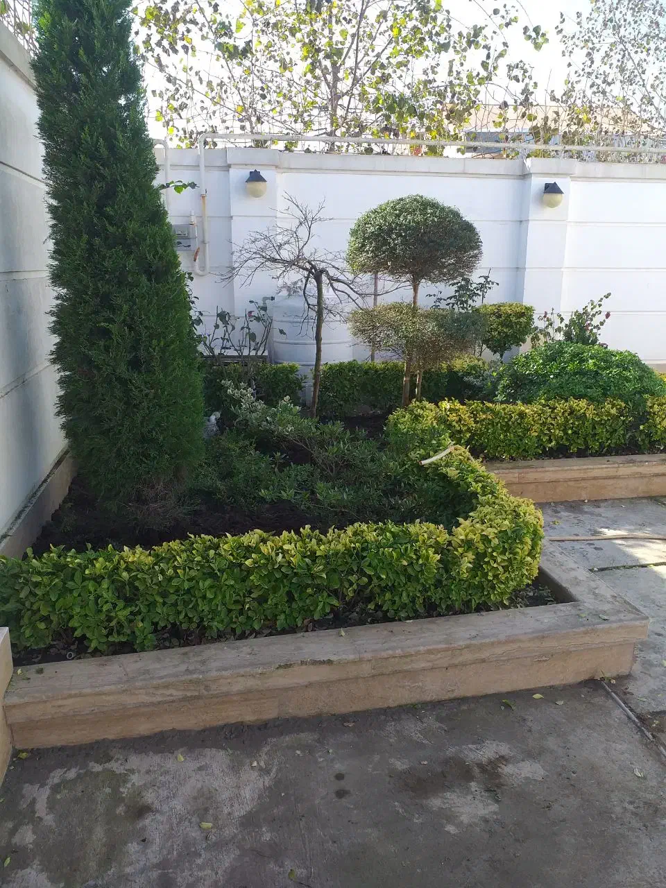 خدمات باغبانی|خدمات باغبانی و درختکاری|لاهیجان, کوی استادان|دیوار