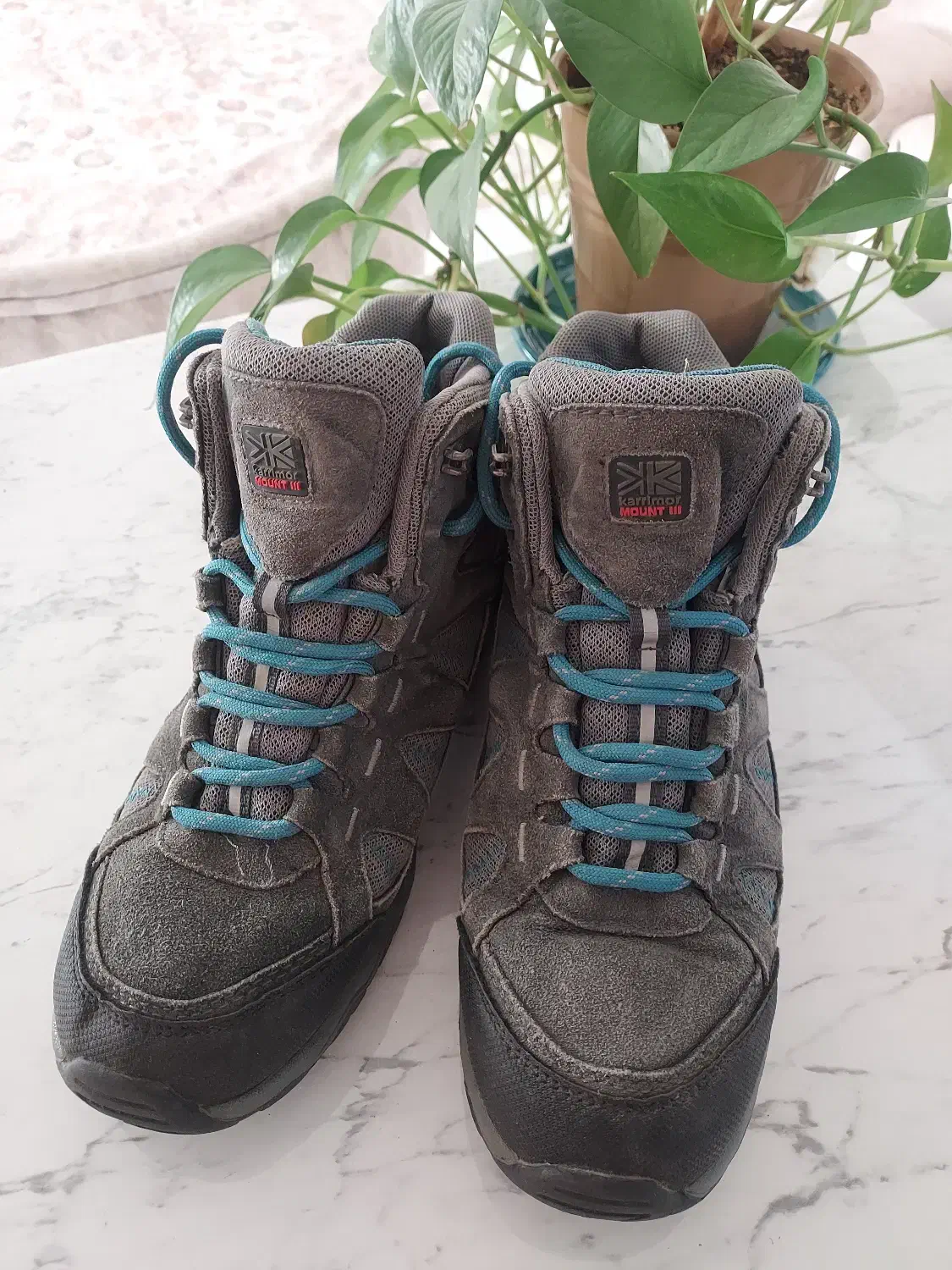 کفش کوهنوردی|کیف، کفش، کمربند|سلماس, |دیوار