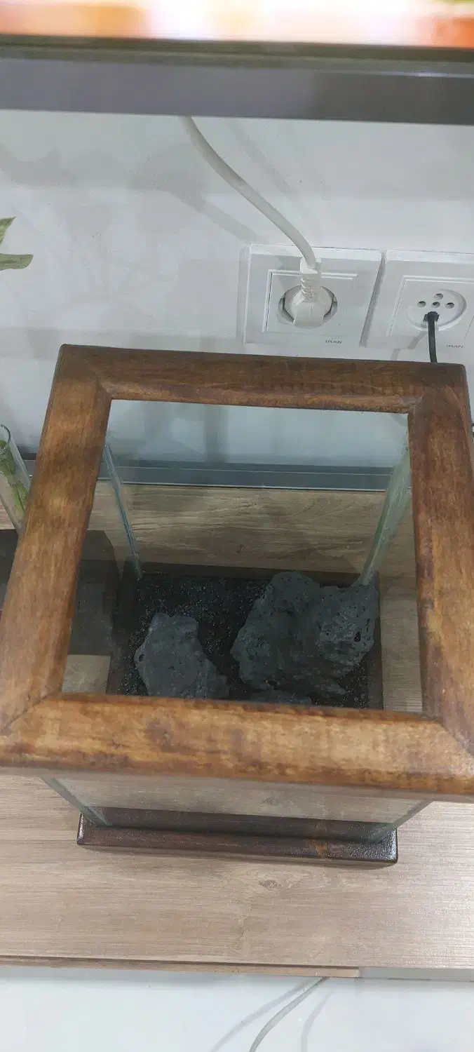 آکواریوم|ماهی|مشهد, چهارچشمه|دیوار