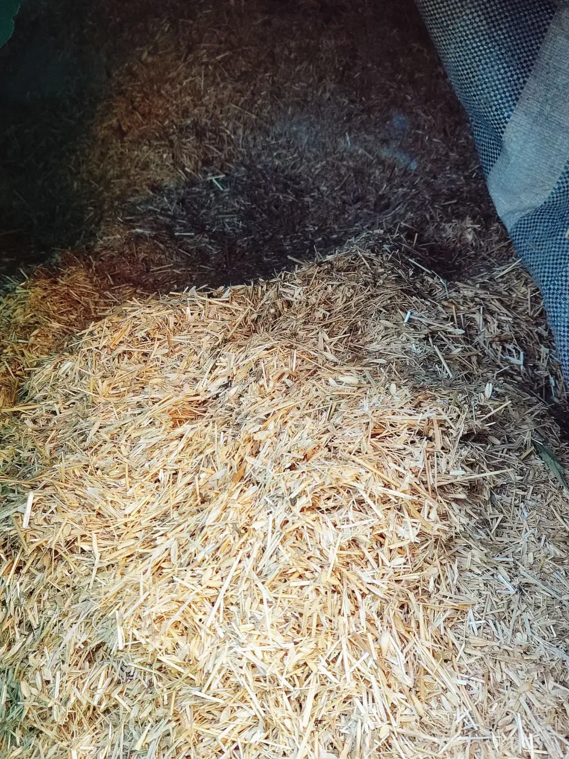 کاه|لوازم جانبی حیوانات|هریس, |دیوار