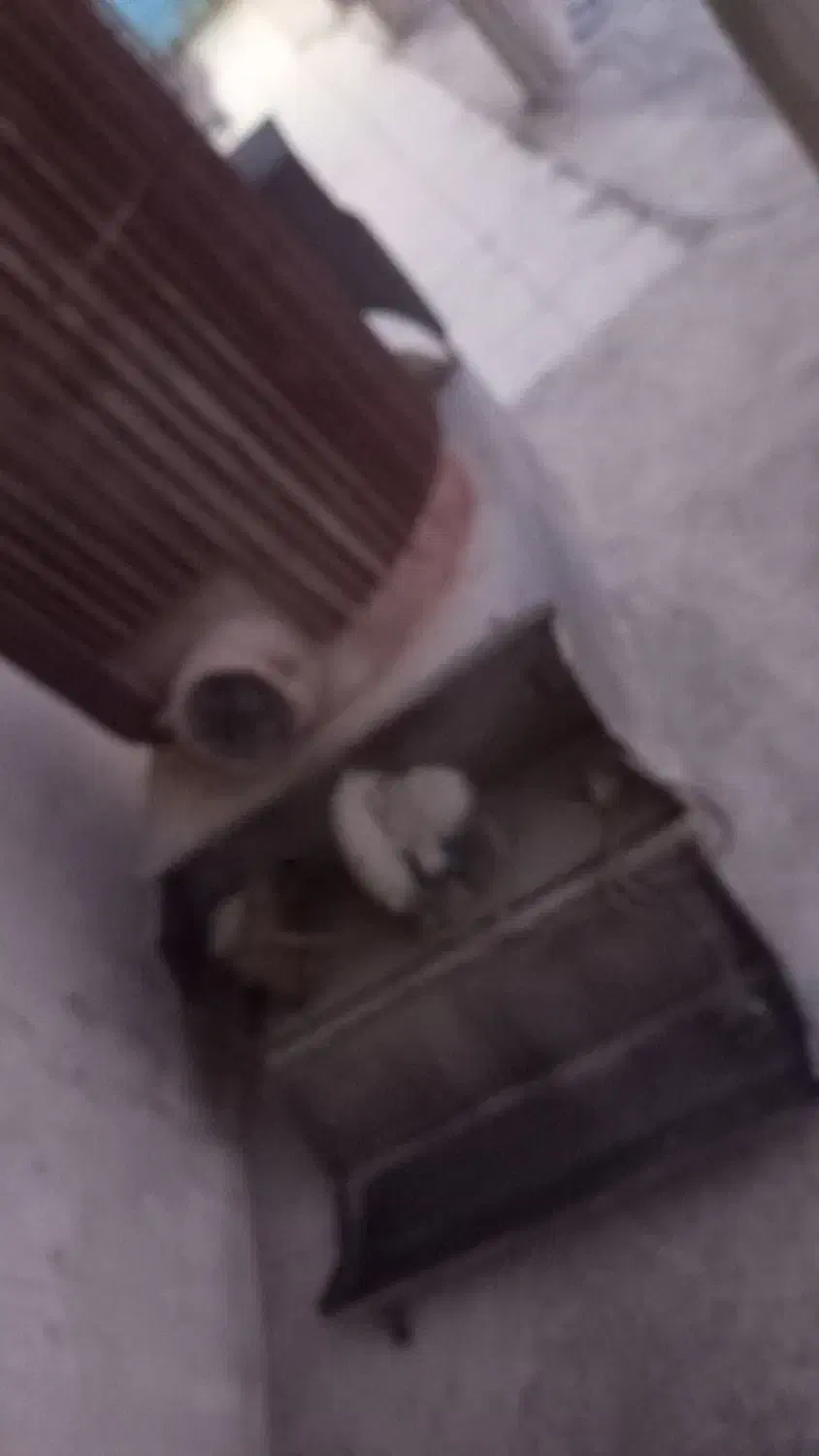 بخاری مسجد|بخاری، هیتر، شومینه|انگوران, |دیوار