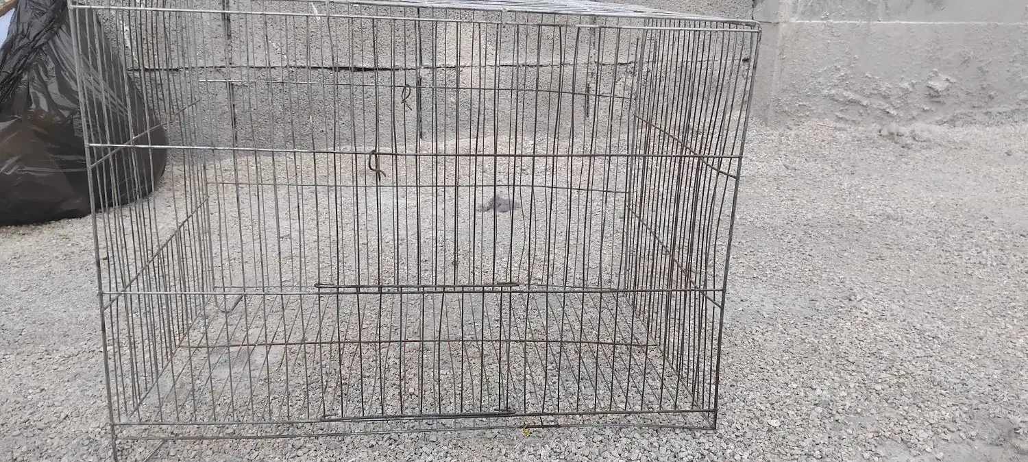یک عدد قفس بزرگ قیمت۸۰|لوازم جانبی حیوانات|دوگنبدان, |دیوار