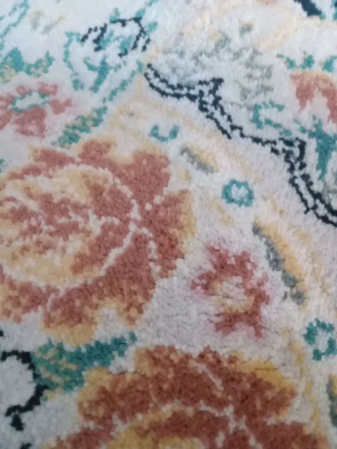 یک جفت قالی|فرش|بلداجی, |دیوار