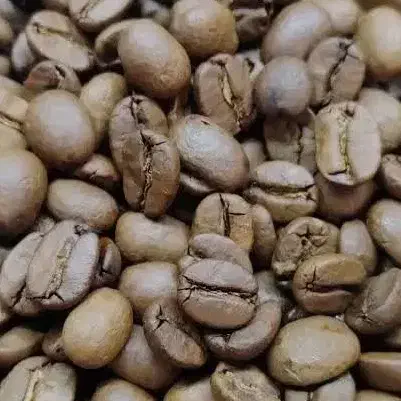 پخش قهوه|خوردنی و آشامیدنی|شاهین‌شهر, طالقانی|دیوار