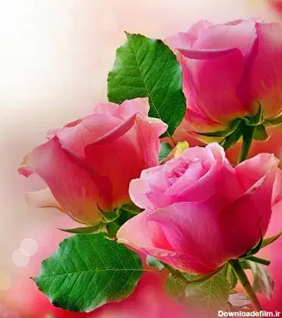 0912.253.0060|سیم‌کارت|قم, نیروگاه|دیوار