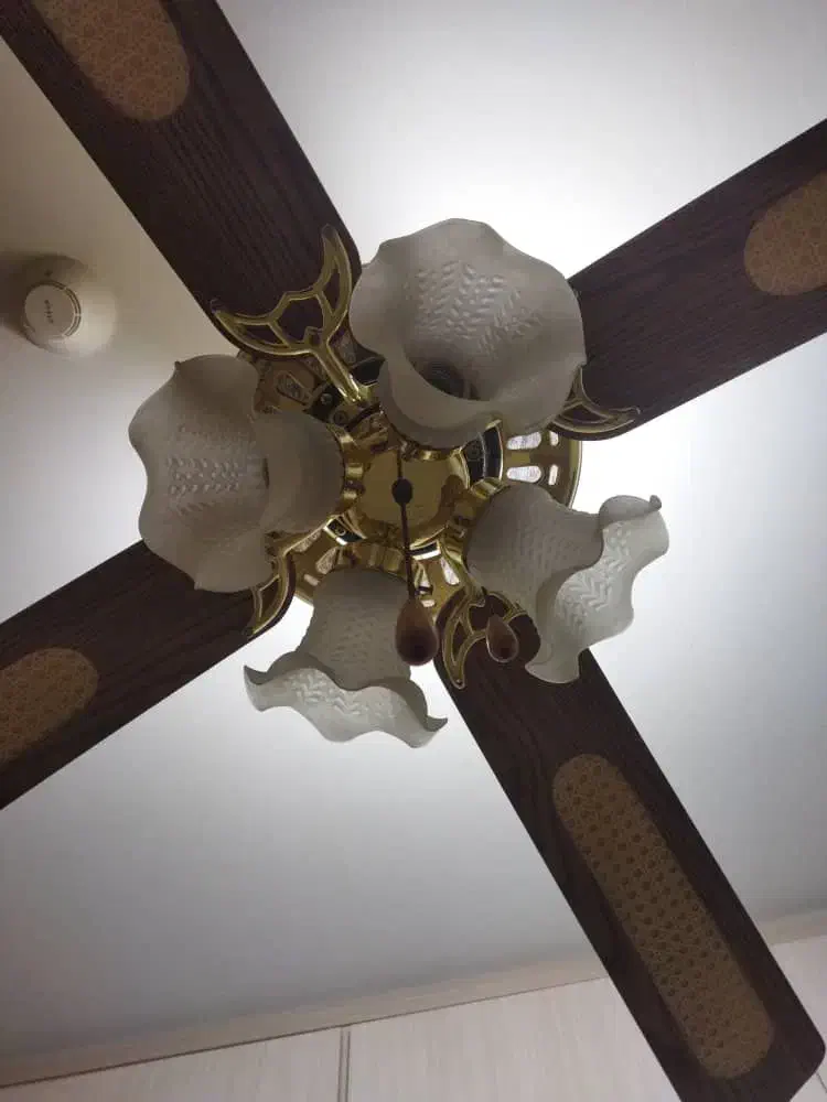 پنکه سقفی|پنکه و تصفیهکنندهٔ هوا|تبریز, |دیوار