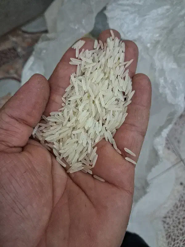 برنج هندی سون استار|خوردنی و آشامیدنی|دزفول, |دیوار