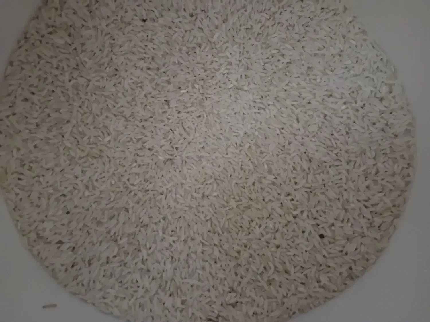 برنج محلی بروجرد|خوردنی و آشامیدنی|بروجرد, |دیوار