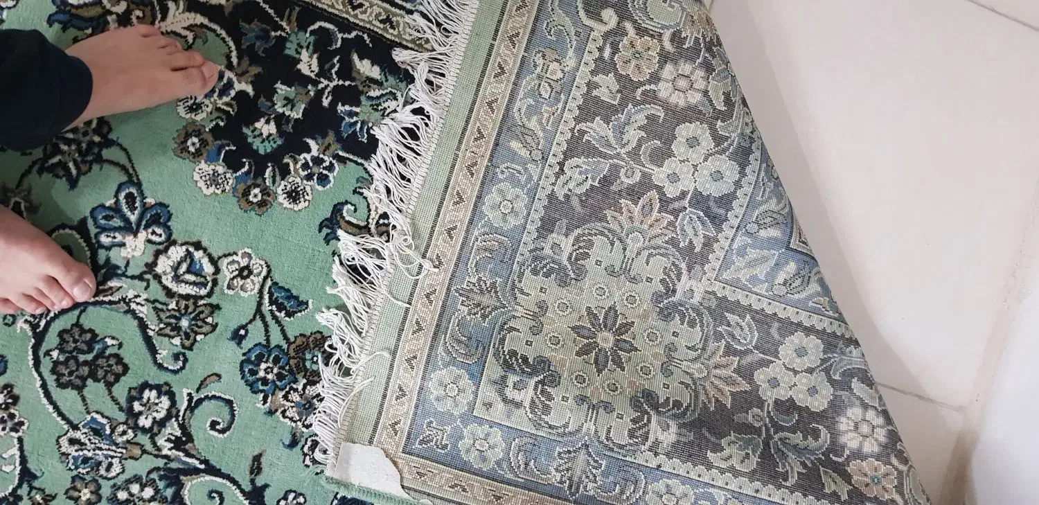 فرش|فرش|رودهن, |دیوار