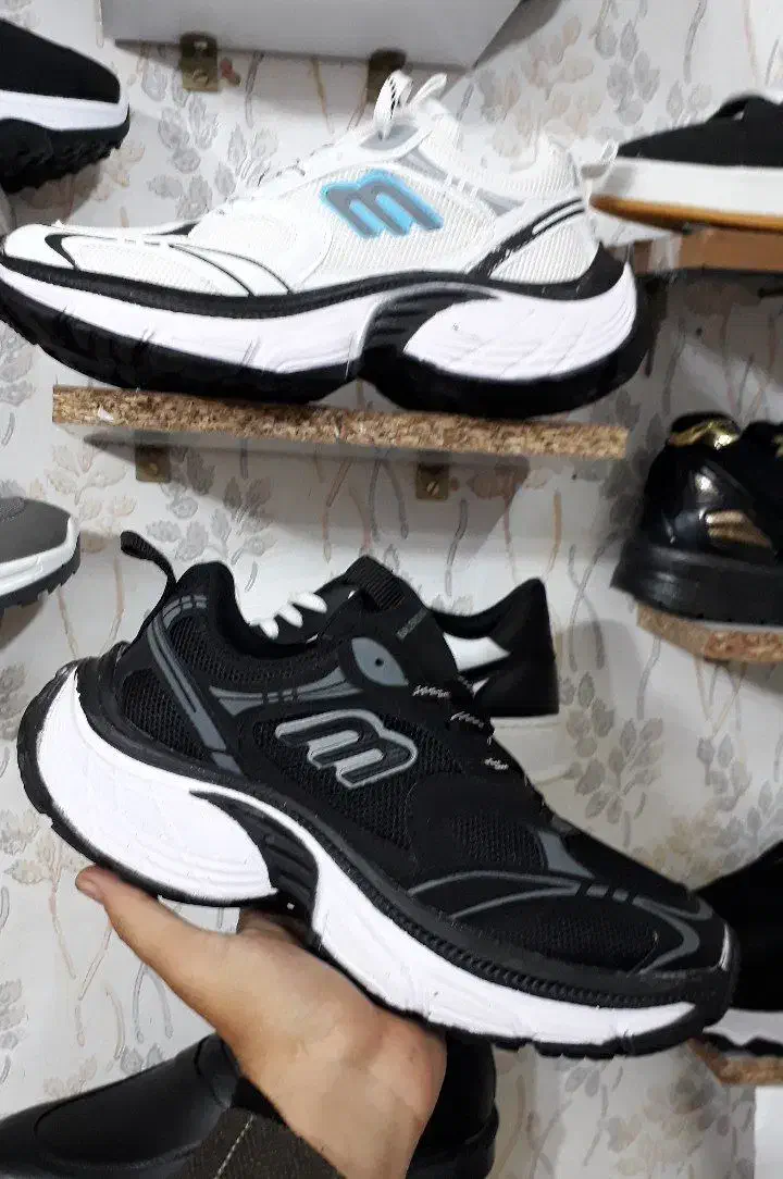 موکت طرحدار|موکت|سبزوار, امیر کبیر|دیوار