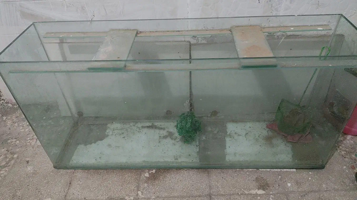 اکواریم شرکتی|ماهی|قم, امامزاده ابراهیم|دیوار