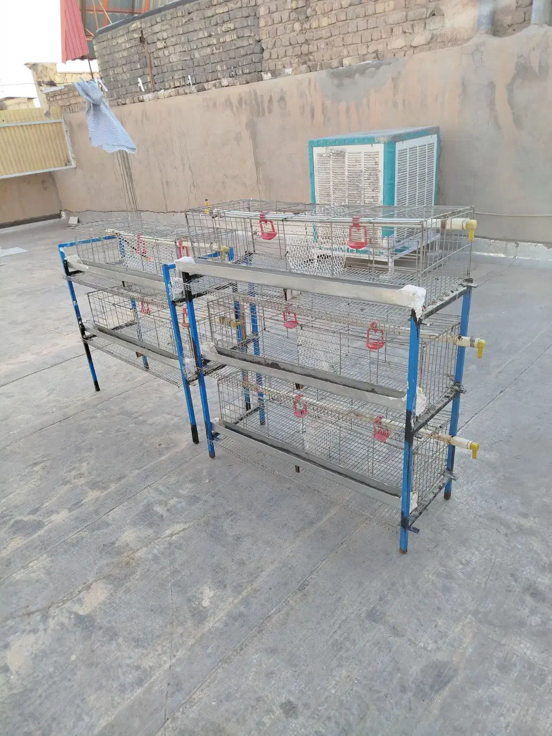 تعدادی قفس بلدرچین.مرغ.قناری.کفتر با ابخوری|لوازم جانبی حیوانات|قم, باجک سه|دیوار