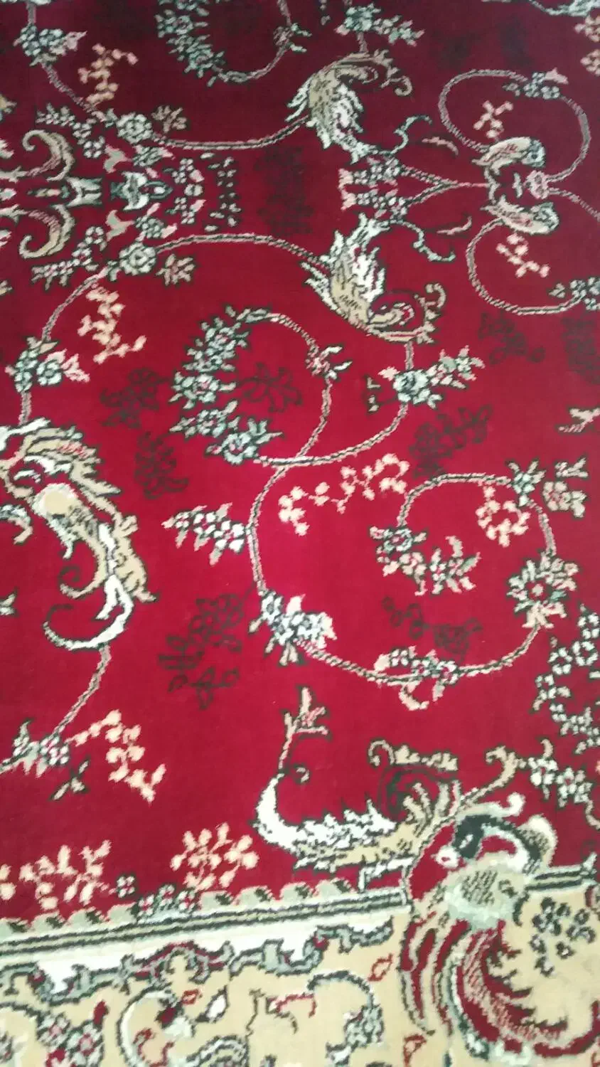 نخی|فرش|اسلام‌‌آباد غرب, |دیوار