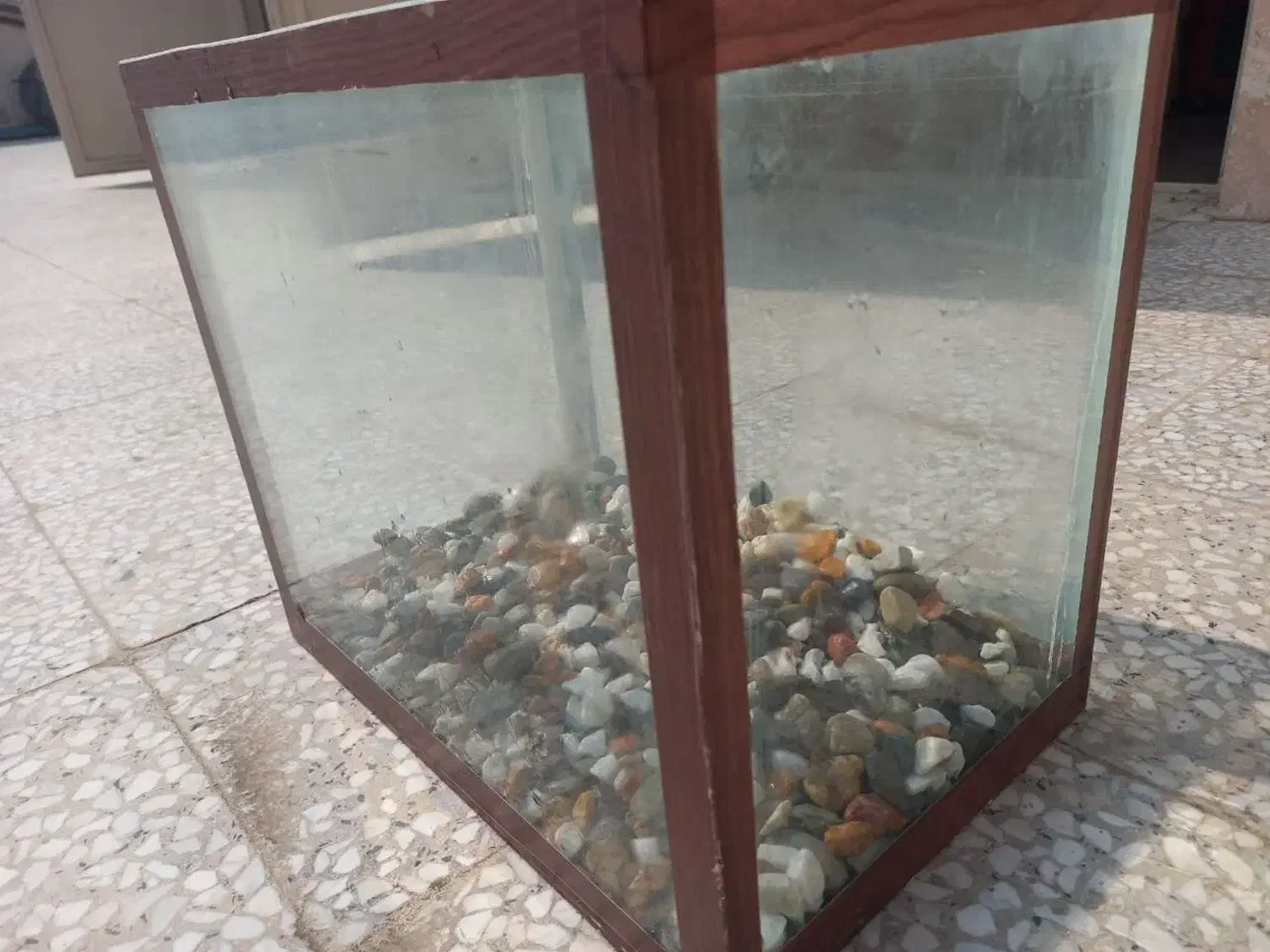 اکواری م نو|ماهی|باقرشهر, |دیوار