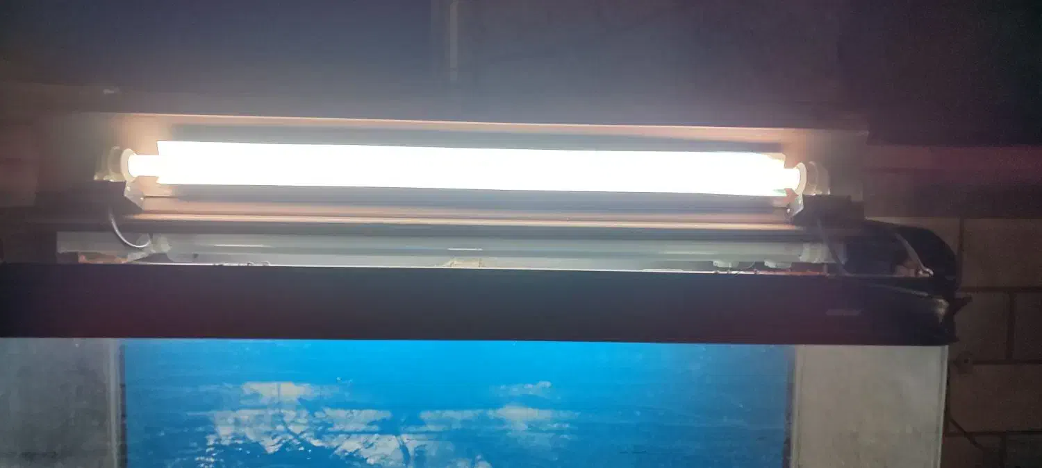 اکواریوم به همراه میز|لوازم جانبی حیوانات|اهواز, کمپلو جنوبی|دیوار