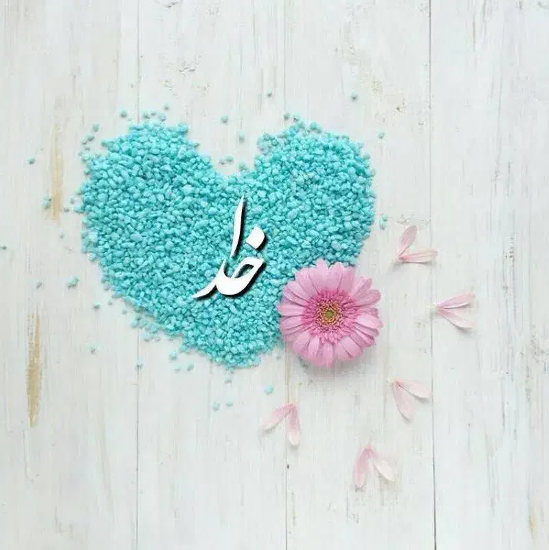 اطلاع رسانی اجتماعی|گردهمایی و همایش|مشهد, سجاد شهر|دیوار