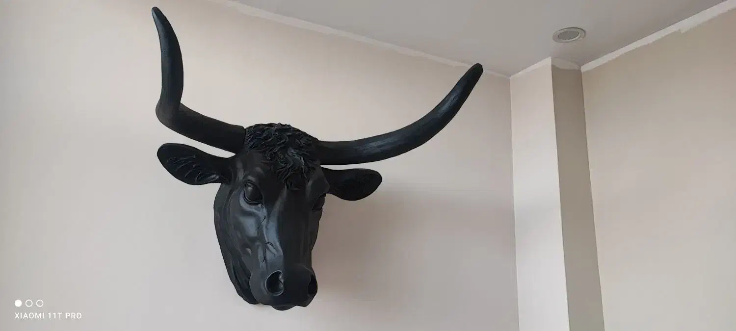 مجسمه گاو بوفالو فایبرگلاس|مجسمه، تندیس، ماکت|قزوین, |دیوار