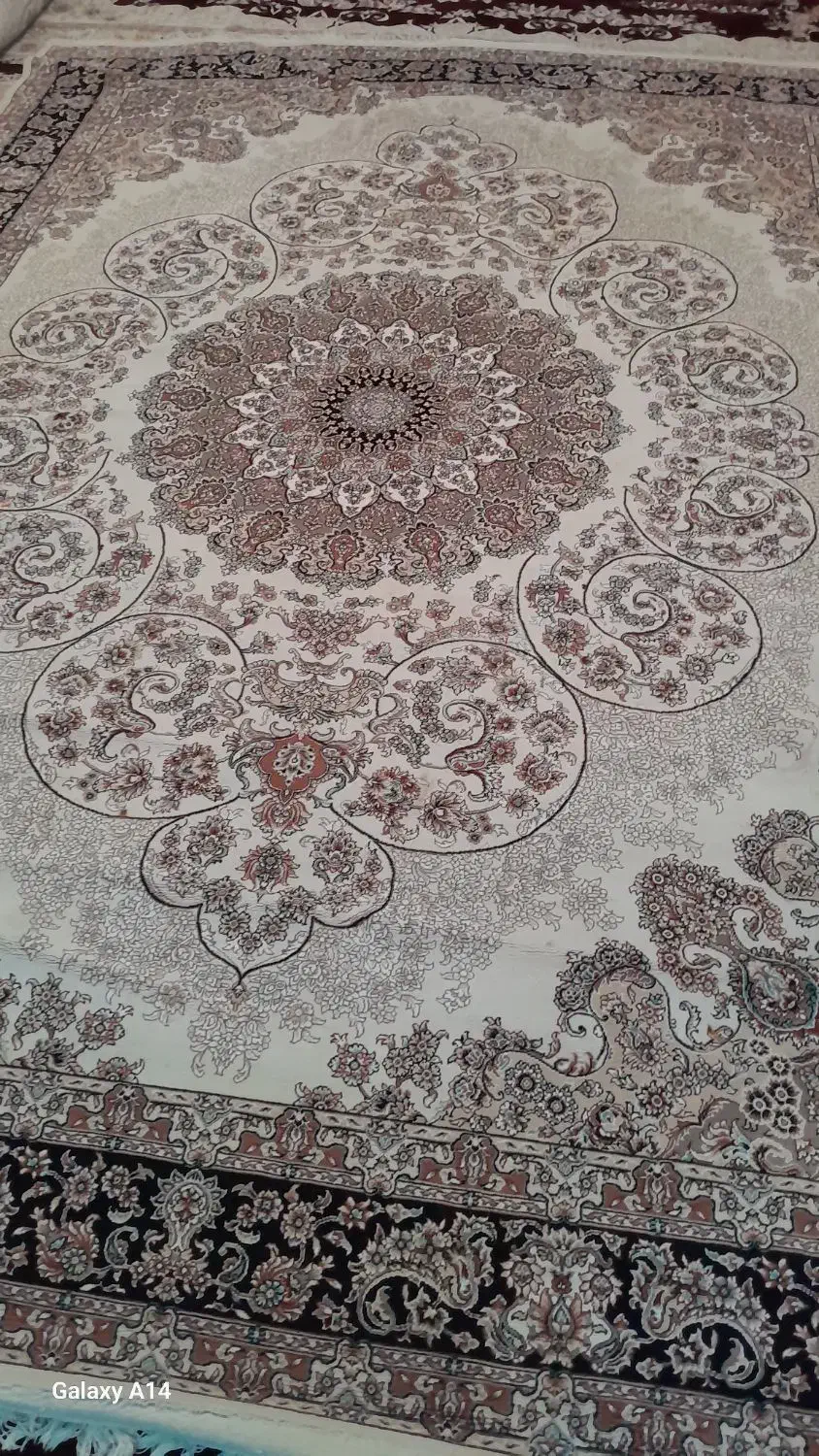 دو عدد قالی درحد نو|فرش|اهواز, دغاغله|دیوار