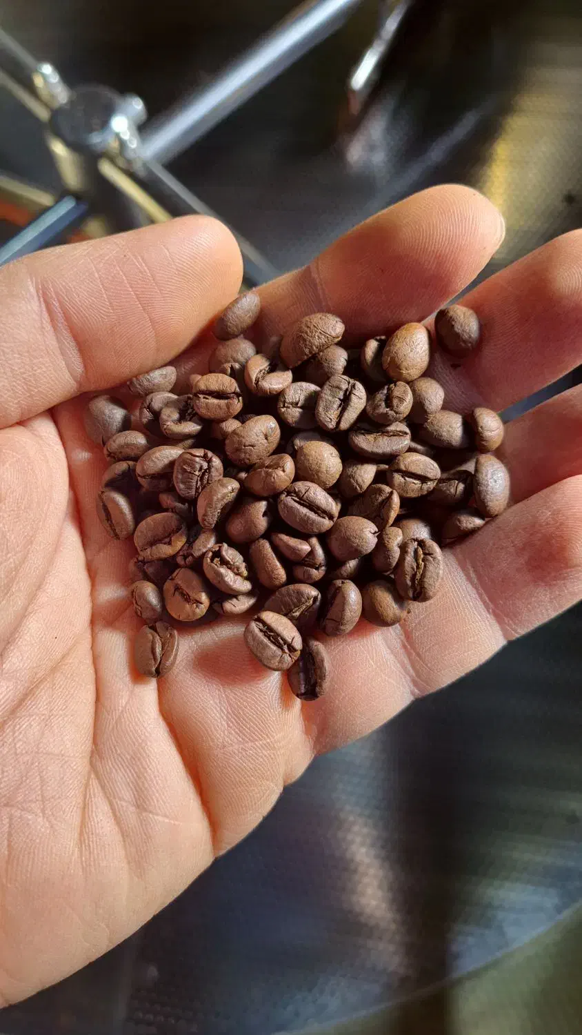 قهوه ویتنام درجه یک|کافی‌شاپ و رستوران|آستانه اشرفیه, |دیوار