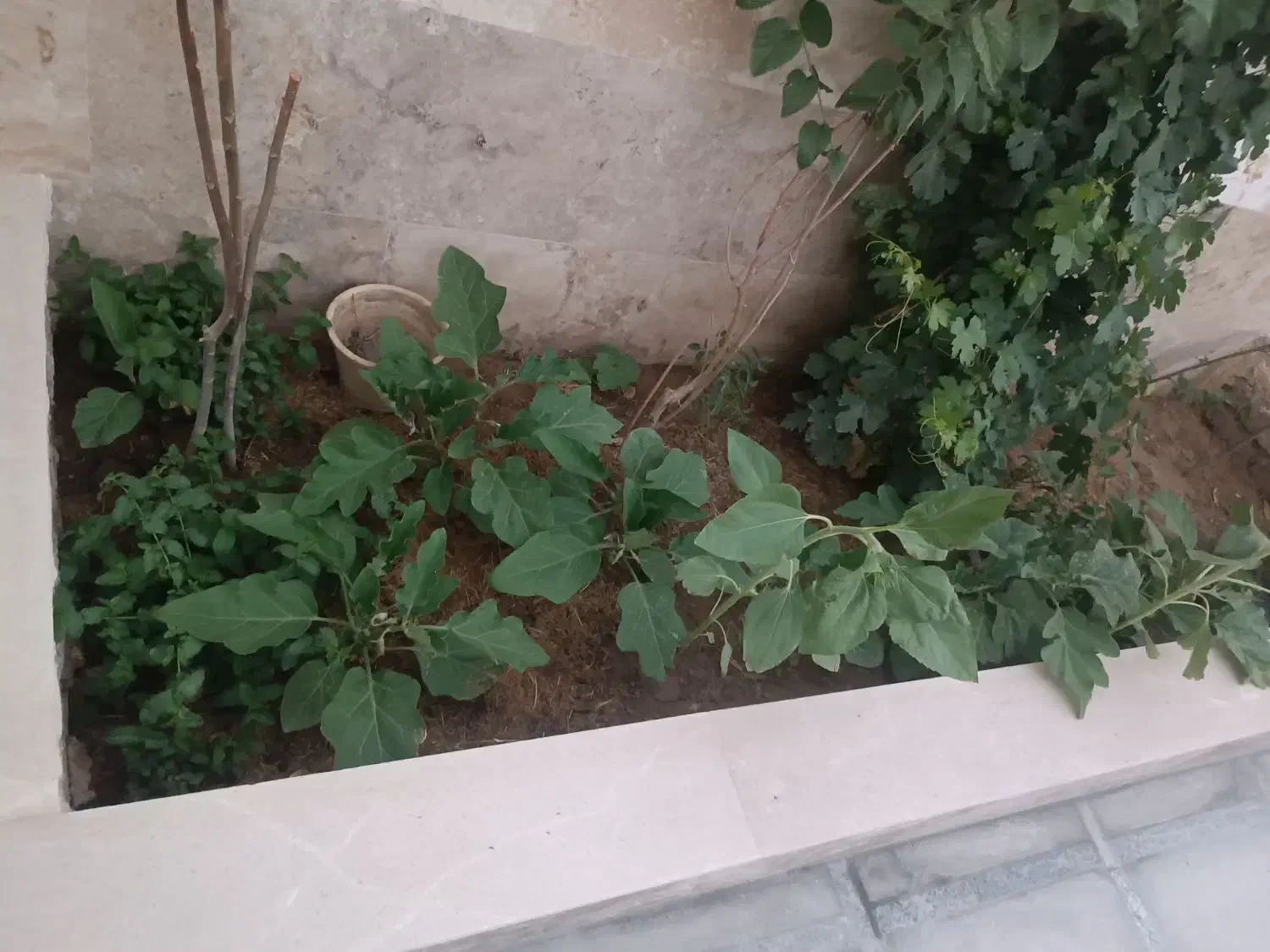 طبقه دوم منزل ویلایی در کهک|اجارهٔ خانه و ویلا|کهک, |دیوار