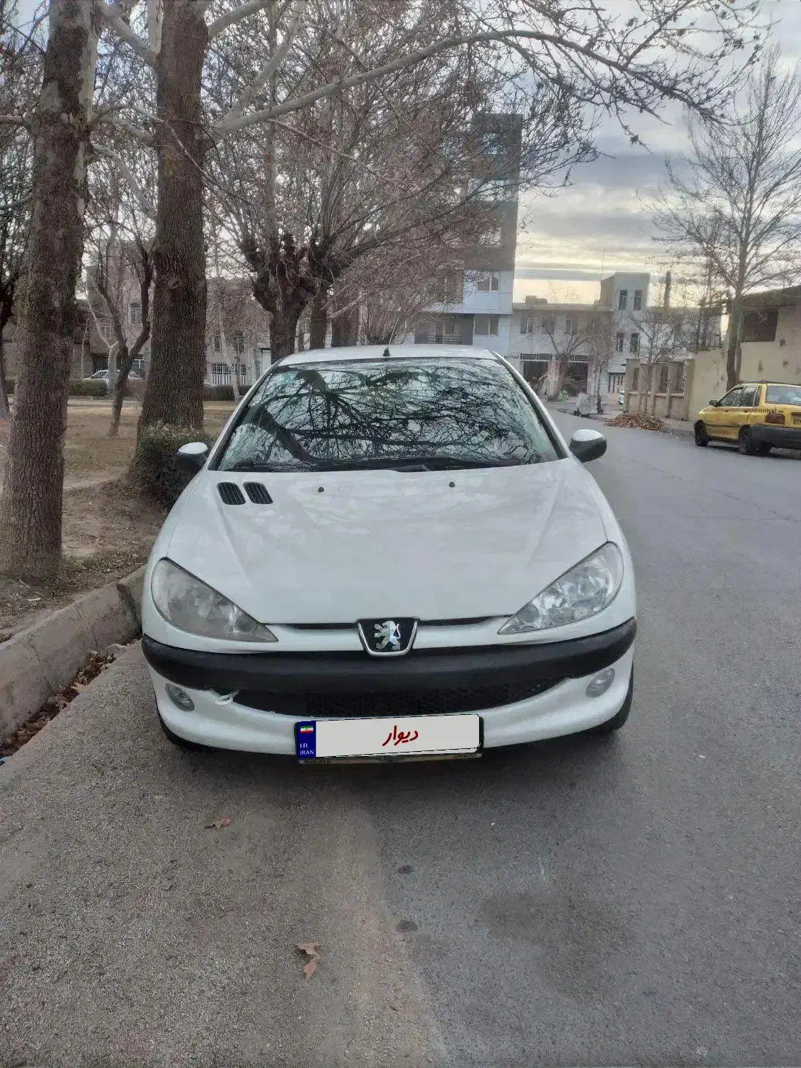 ۲۰۶ اس دی|خودرو سواری و وانت|ملایر, |دیوار