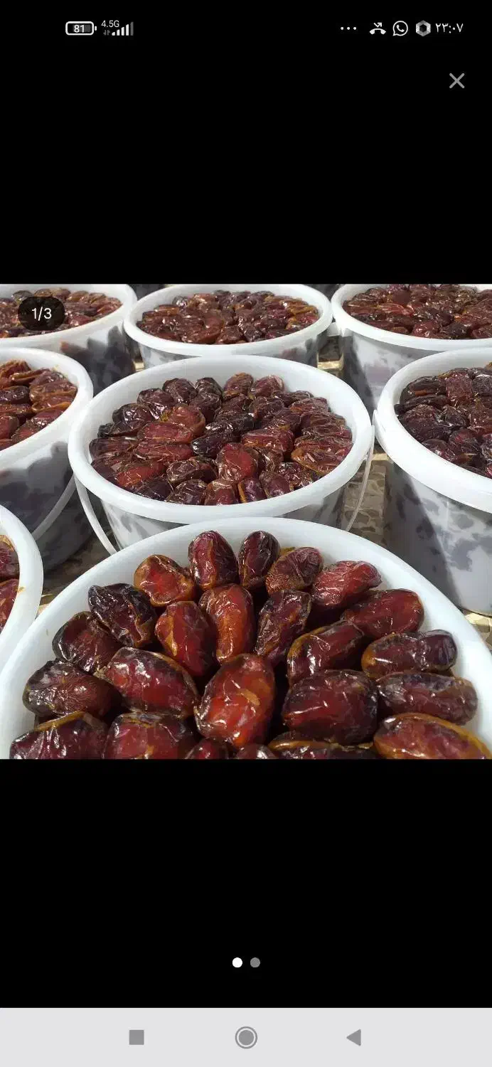فروش انواع خرما|خوردنی و آشامیدنی|میان جلگه, |دیوار