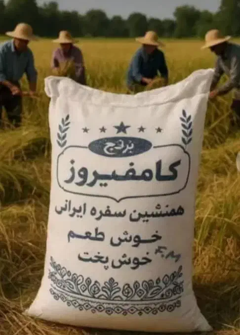 خرده برنج کامفیروزی  و برنج کامفیروزی اصل|خوردنی و آشامیدنی|شیراز, مبعث|دیوار