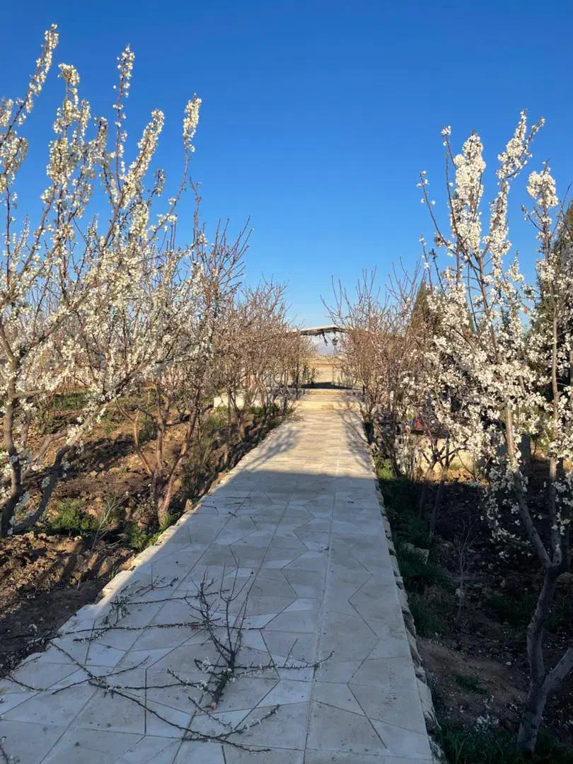 باغچه ۵۰۰‌متری شهرکی سند‌ تک‌برگ‌ کنتور‌ برق|فروش زمین و ملک کلنگی|رامجین, |دیوار