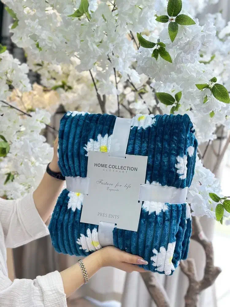 پتو مسافرتی|رختخواب، بالش، پتو|دزفول, |دیوار