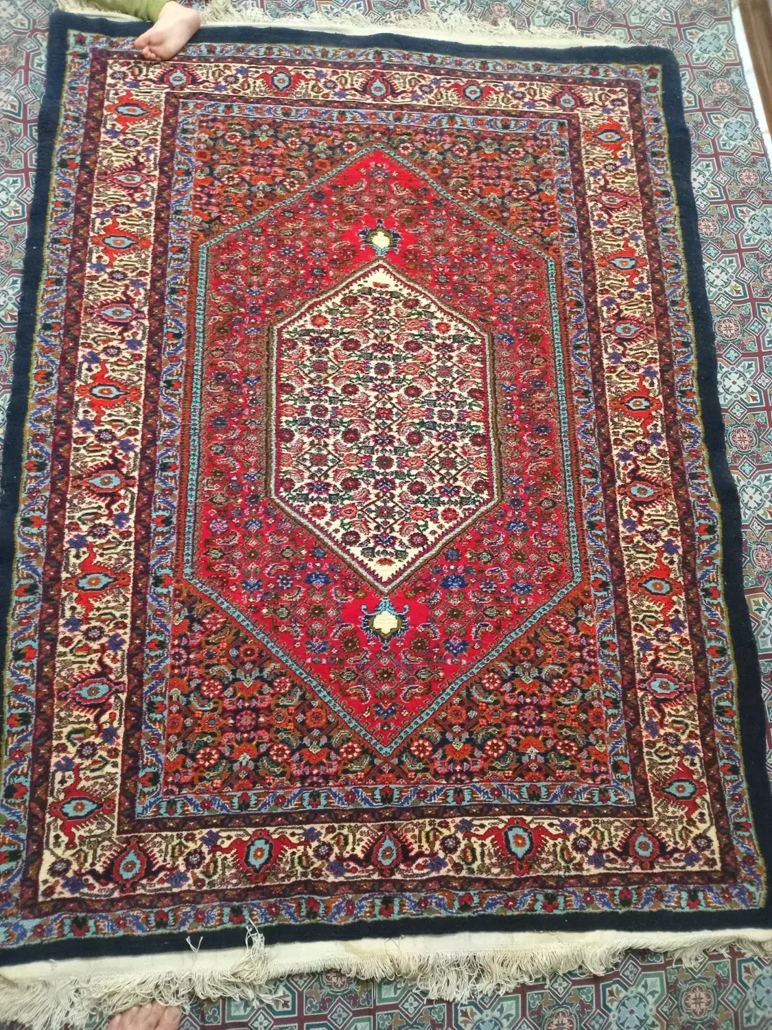 قالی دستبافت نقشه ماهی|فرش|نقده, |دیوار