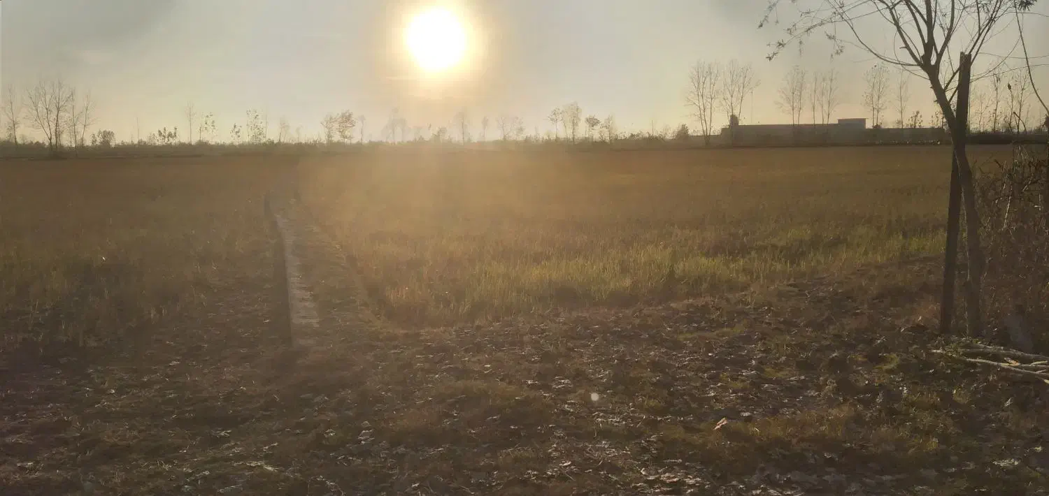 زمین باغی با انشعابات نزدیک|فروش دفتر صنعتی، کشاورزی، تجاری|کیاشهر, |دیوار