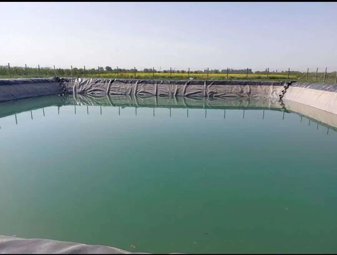 فروش و نصب لایه استخر کشاورزی|خدمات پیشه و مهارت|جوین, |دیوار