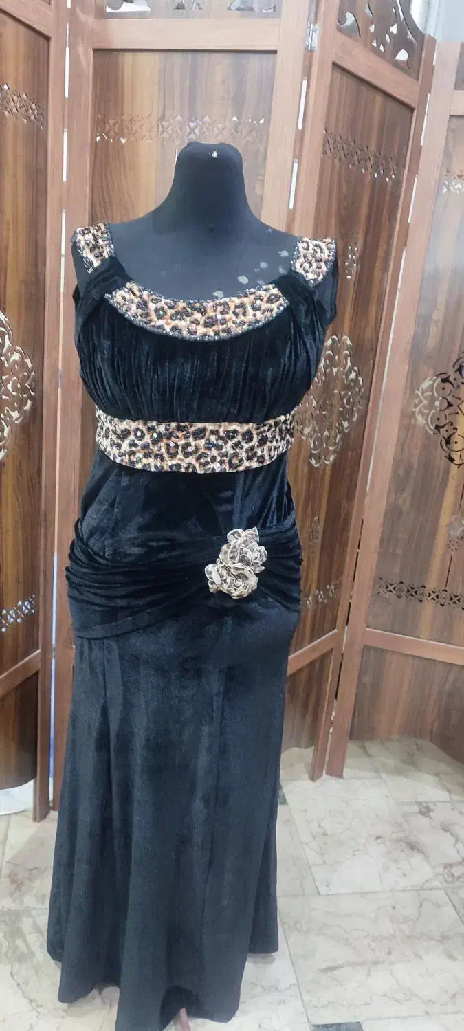 لباس مجلسی|لباس|ساری, |دیوار