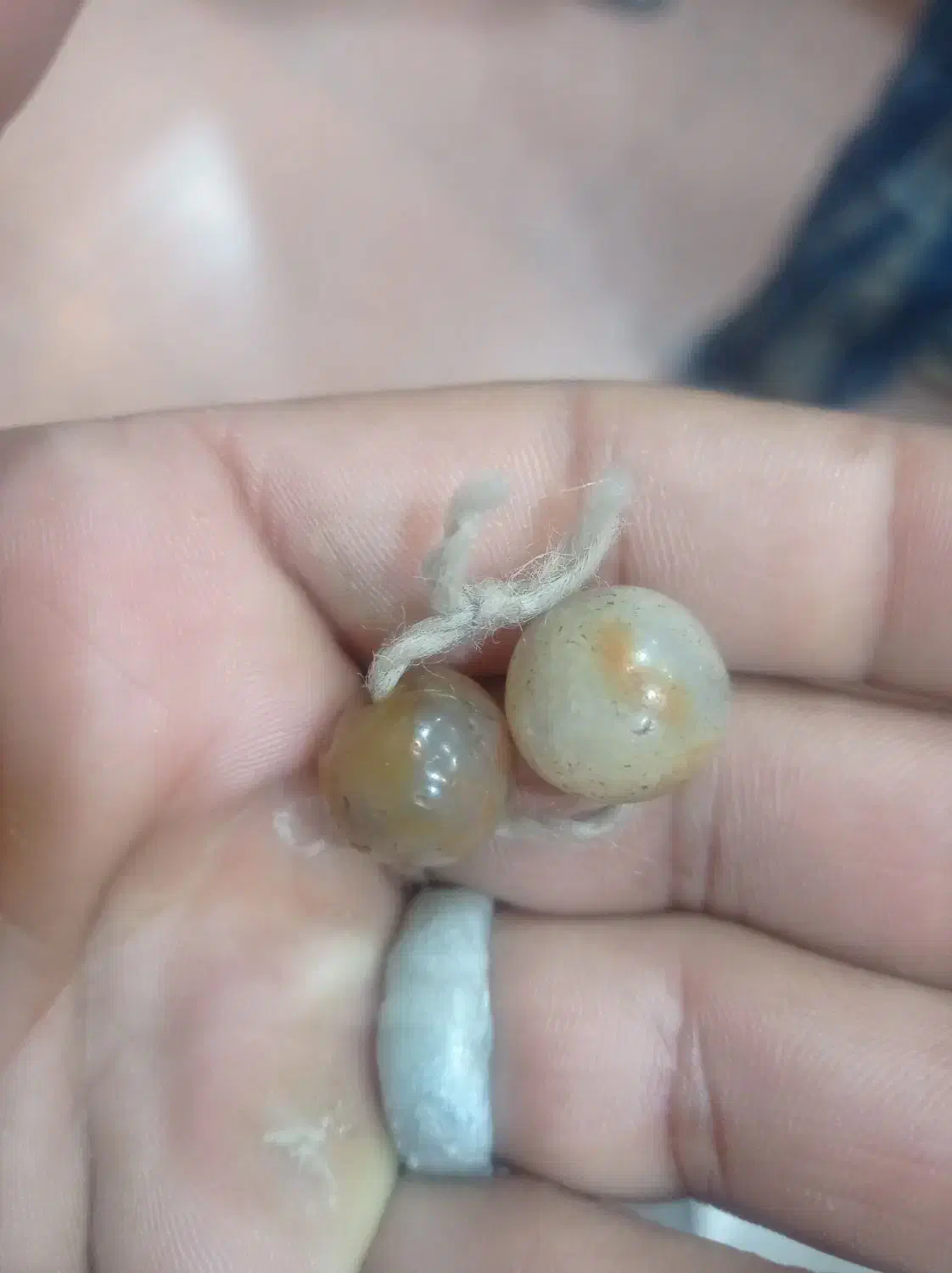 شوش دانیال|جواهرات|پرند, فاز ۰|دیوار