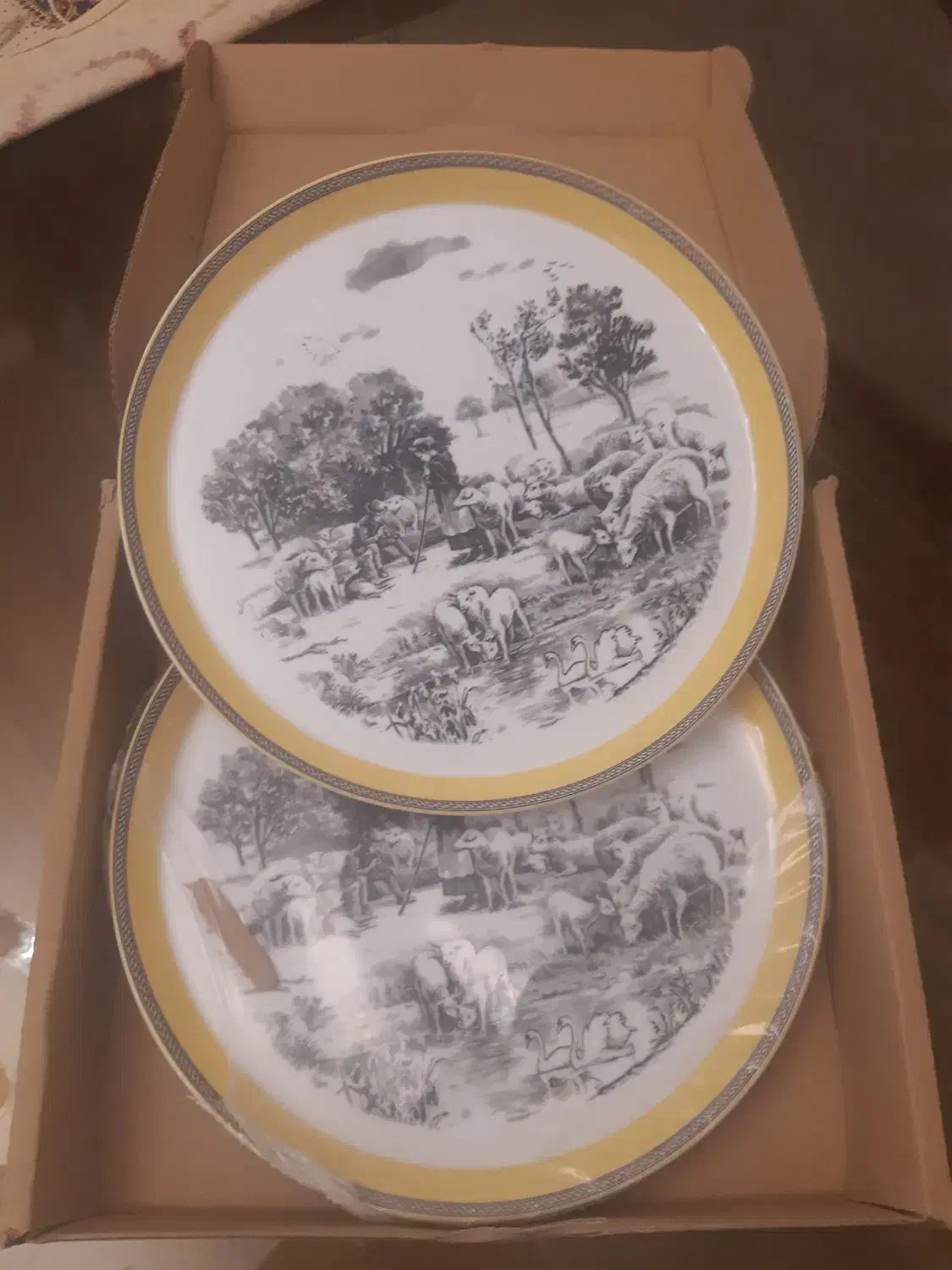 دیس های چینی بسیار زیبا و دیس ماهی نو با جعبه|ظروف سرو و پذیرایی|تهران, اباذر|دیوار