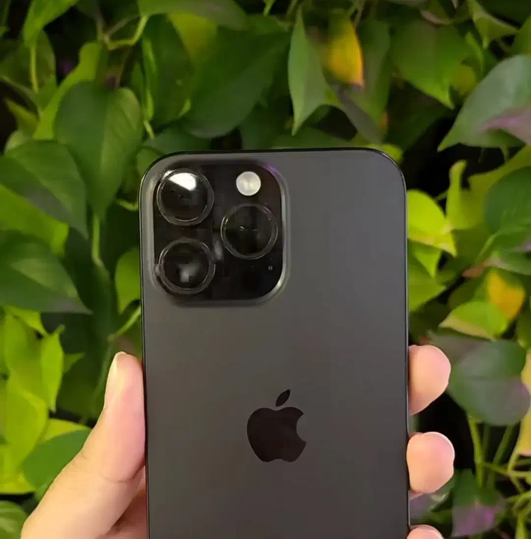 آیفون 13 Pro max|موبایل|سبزوار, ولیعصر (نجار آباد)|دیوار