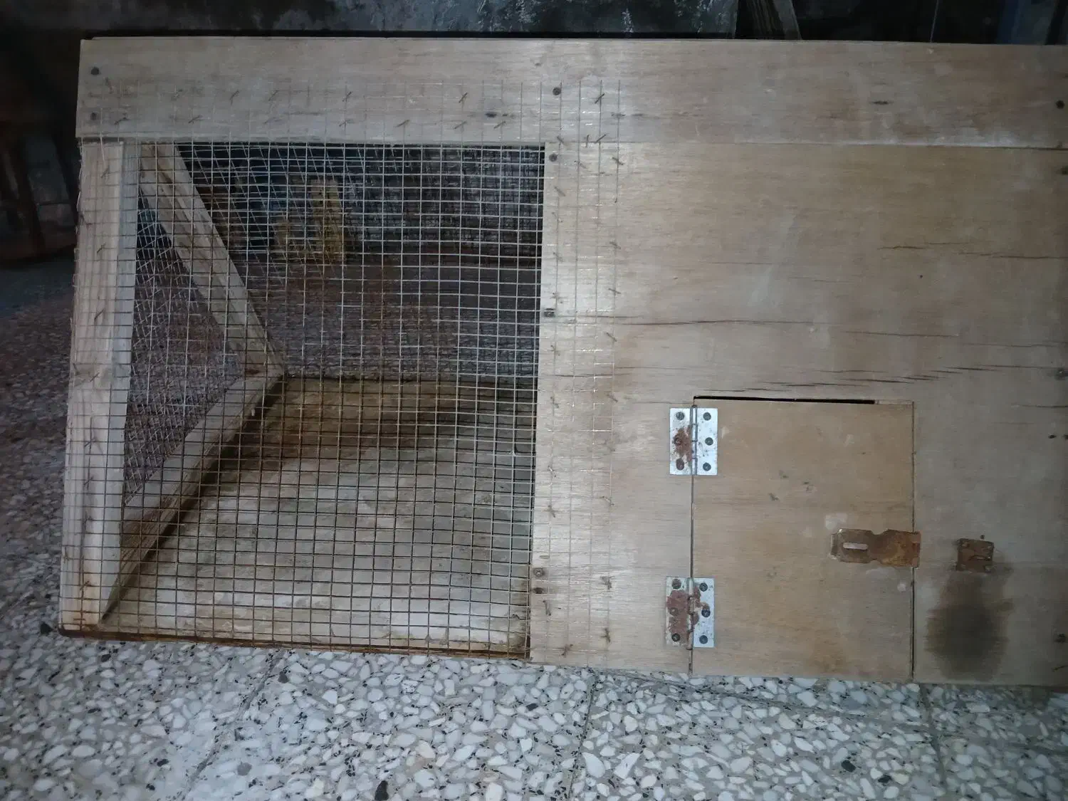 قفس|لوازم جانبی حیوانات|بندرعباس, |دیوار