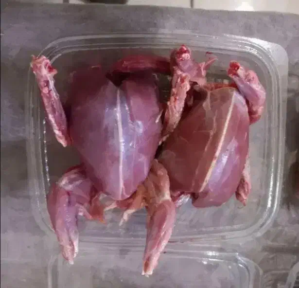 گوشت کبوتر|خوردنی و آشامیدنی|قم, سراجه (۱۵ خرداد)|دیوار