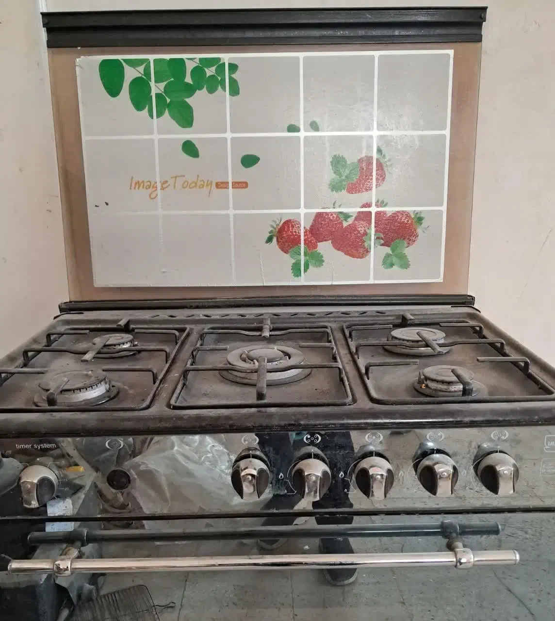 گاز طرح فر|اجاق گاز و لوازم برقی پختوپز|فردوس (خراسان), |دیوار