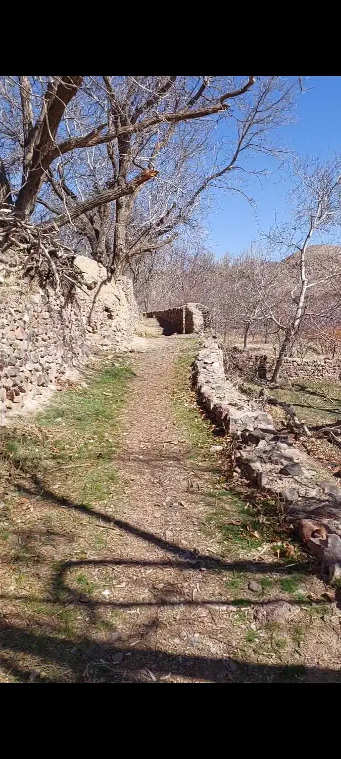 فروش زمین در باغستان درخش ، سرخنگ|فروش زمین و ملک کلنگی|قهستان, |دیوار