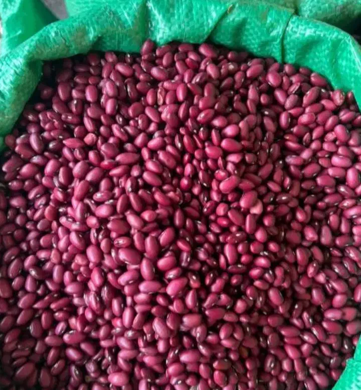 لوبیا|عمدهفروشی|ایذه, |دیوار