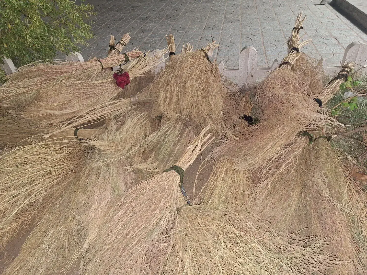 جارو|لوازم نظافت|تربتحیدریه, شهرک ولیعصر|دیوار