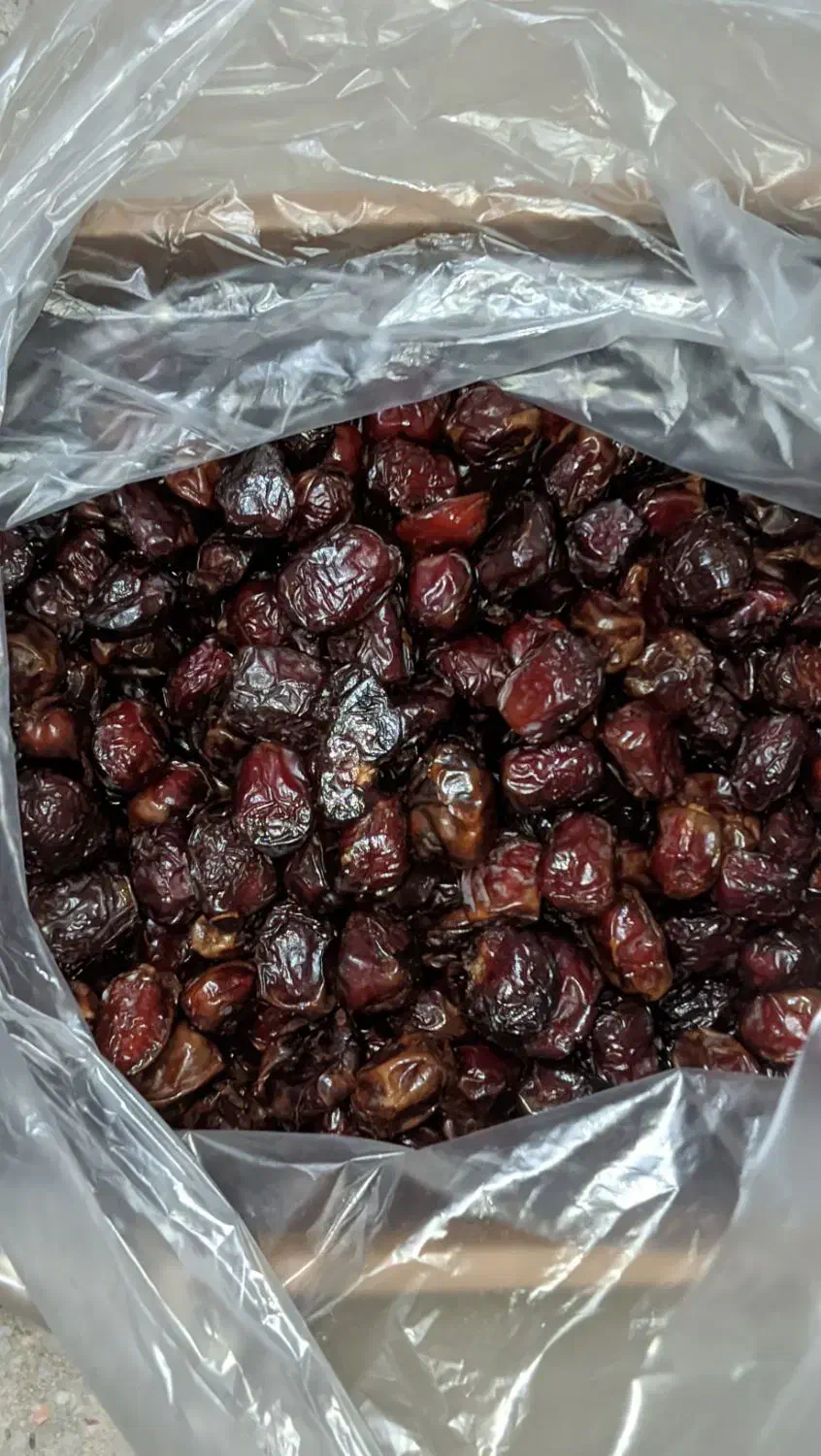 محصولات جنوب|خوردنی و آشامیدنی|محمدشهر, شهرک چمران|دیوار