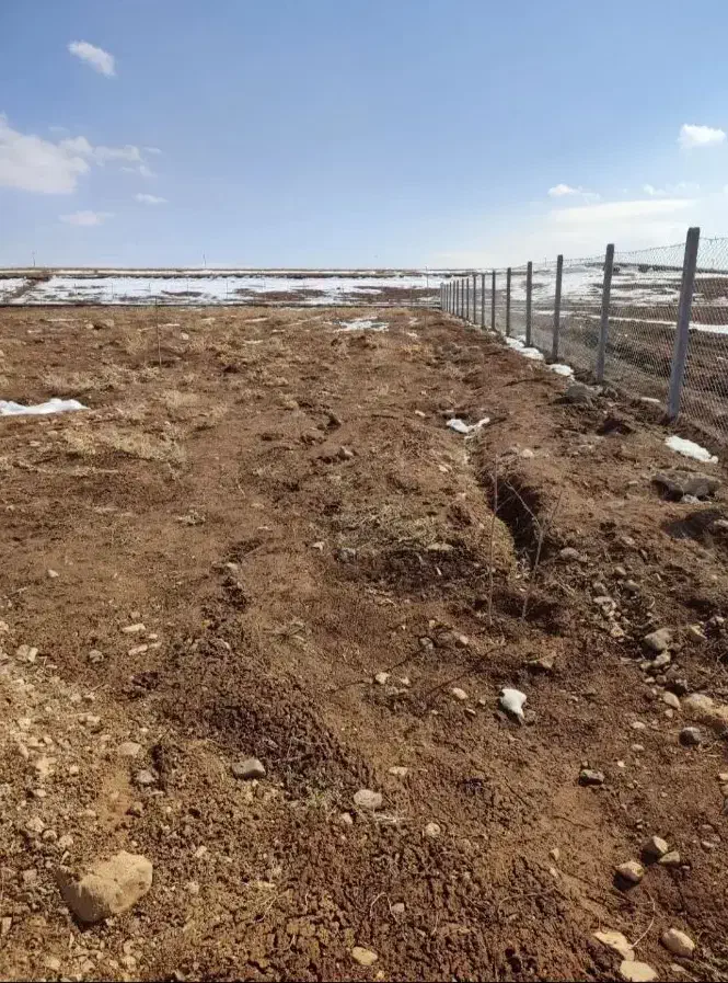 زمین کشاورزی اخر گلشهر چرناب چورناب چوره ناب|فروش دفتر صنعتی، کشاورزی، تجاری|زنجان, |دیوار