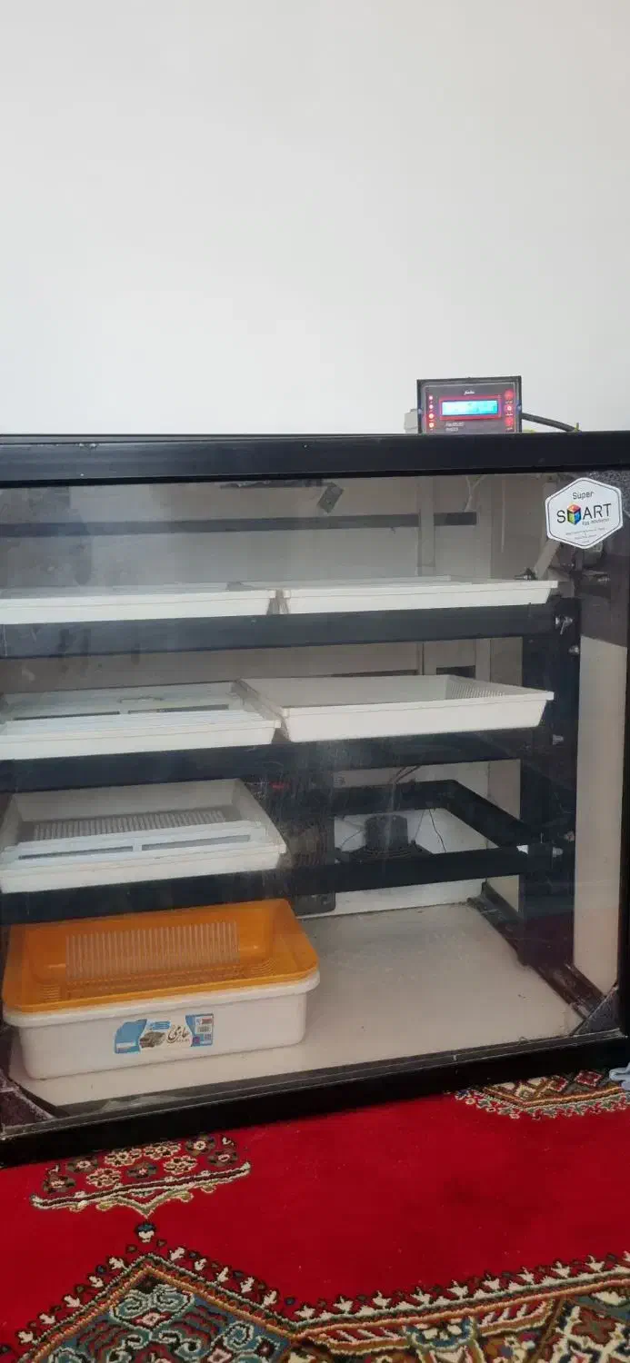 دستگاه جوجه کشی اسکندری|لوازم جانبی حیوانات|کردکوی, |دیوار