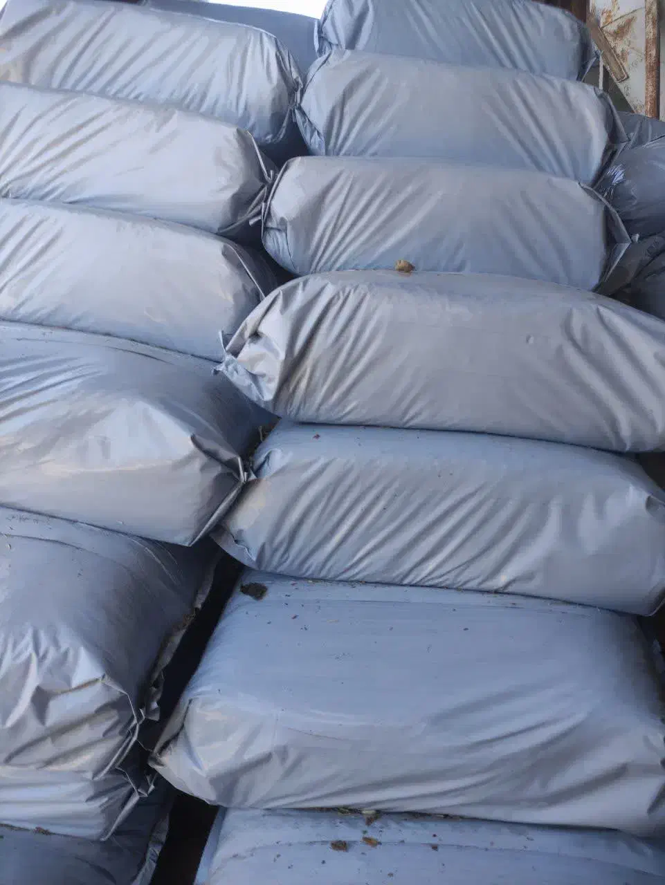 ذرت علوفه ای|حیوانات مزرعه|تهران, تختی|دیوار