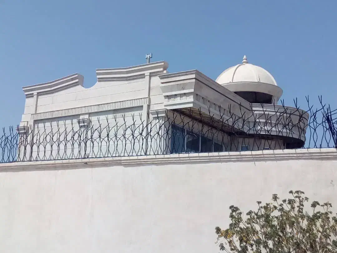 حفاظ شاخگوزنی|خدمات پیشه و مهارت|بوشهر, |دیوار