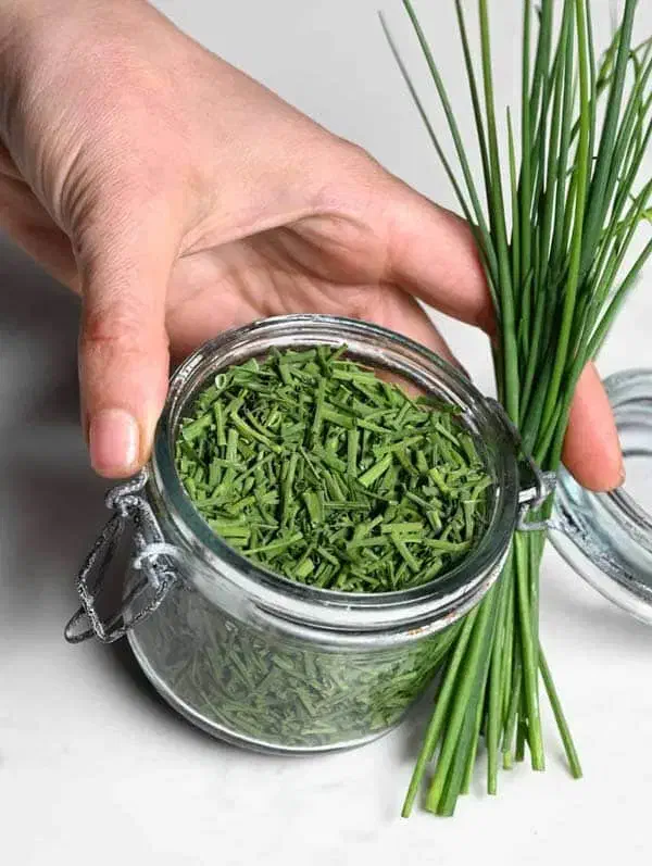 پیازچه خشک  و تازه|خوردنی و آشامیدنی|قم, حاج خلیل|دیوار