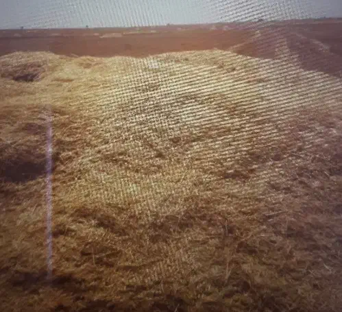 کاه|لوازم جانبی حیوانات|انگوت, |دیوار